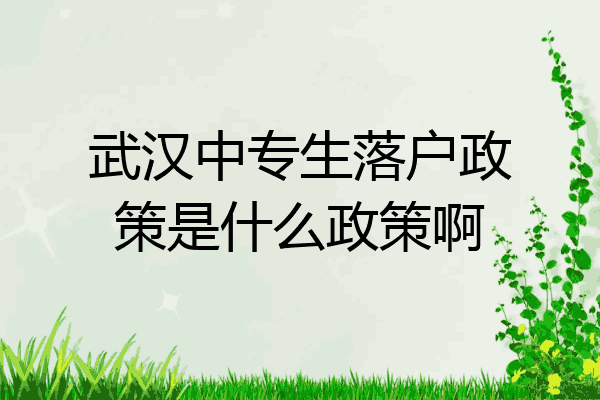 武汉中专生落户政策是什么政策啊