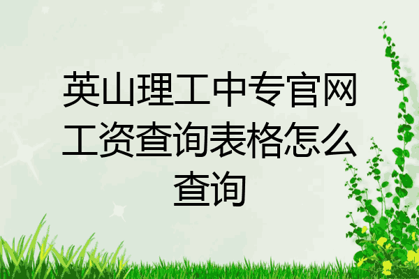 英山理工中专官网工资查询表格怎么查询