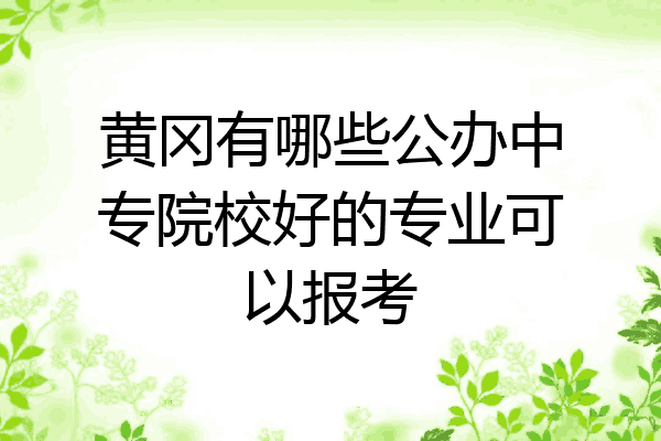 黄冈有哪些公办中专院校好的专业可以报考