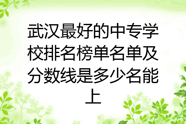 武汉最好的中专学校排名榜单名单及分数线是多少名能上