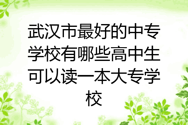 武汉市最好的中专学校有哪些高中生可以读一本大专学校