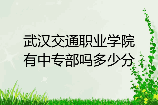武汉交通职业学院有中专部吗多少分
