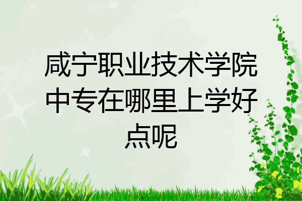 咸宁职业技术学院中专在哪里上学好点呢