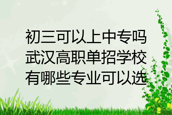 初三可以上中专吗武汉高职单招学校有哪些专业可以选