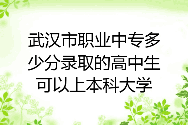 武汉市职业中专多少分录取的高中生可以上本科大学