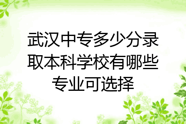 武汉中专多少分录取本科学校有哪些专业可选择