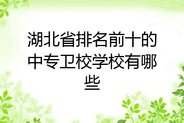 湖北省排名前十的中专卫校学校有哪些