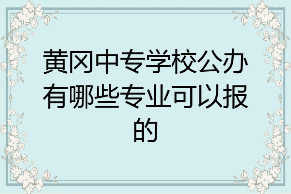 黄冈中专学校公办有哪些专业可以报的