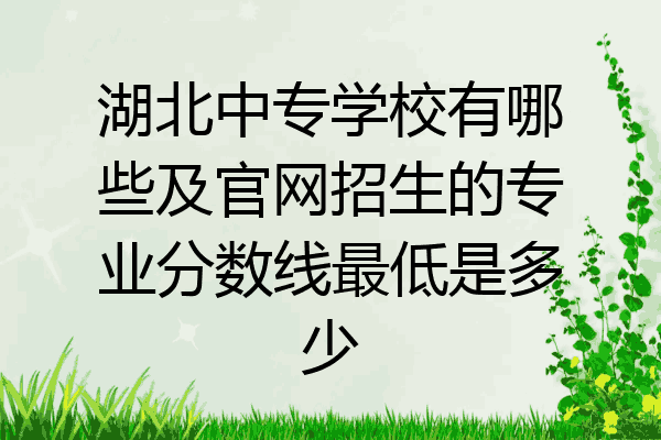 湖北中专学校有哪些及官网招生的专业分数线最低是多少