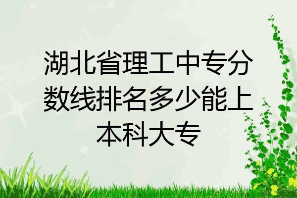 湖北省理工中专分数线排名多少能上本科大专