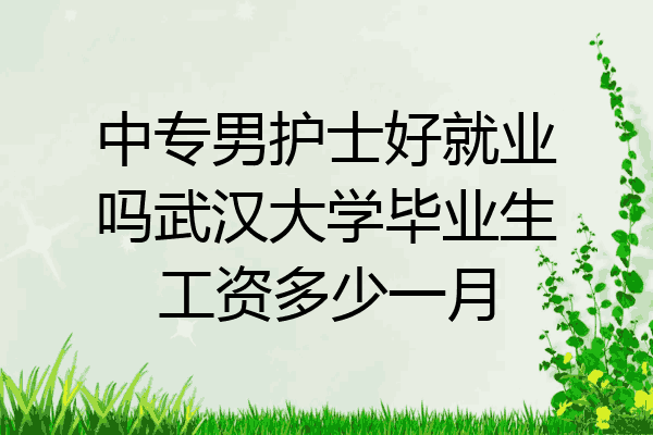中专男护士好就业吗武汉大学毕业生工资多少一月