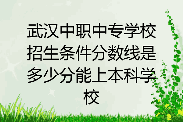 武汉中职中专学校招生条件分数线是多少分能上本科学校