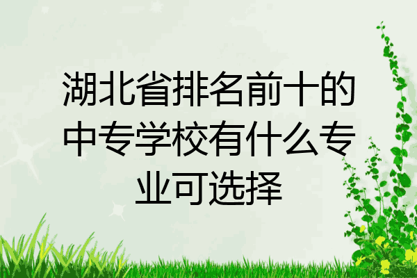 湖北省排名前十的中专学校有什么专业可选择