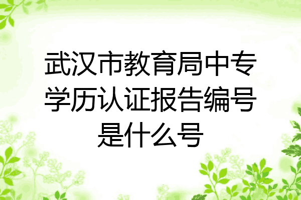 武汉市教育局中专学历认证报告编号是什么号