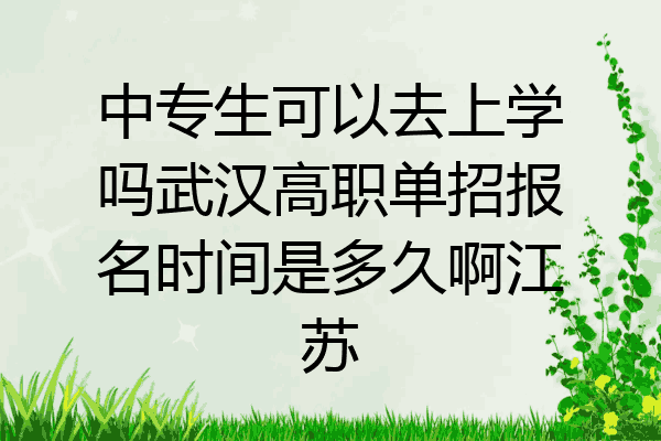 中专生可以去上学吗武汉高职单招报名时间是多久啊江苏