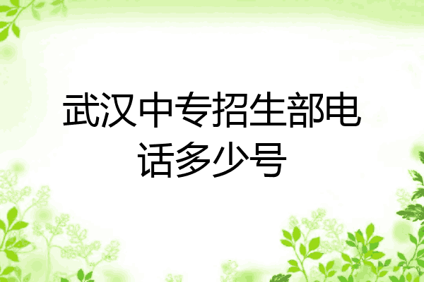 武汉中专招生部电话多少号