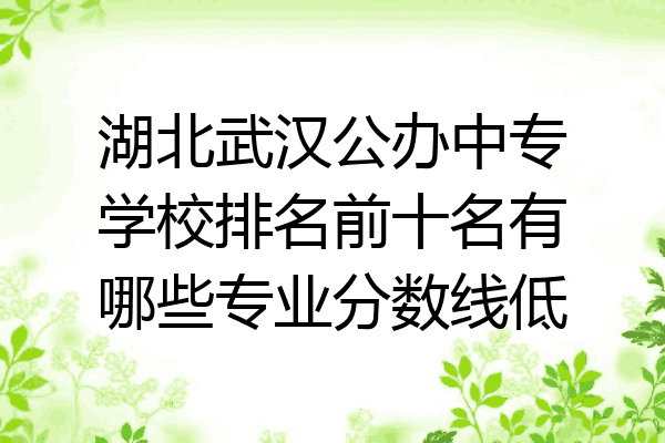 湖北武汉公办中专学校排名前十名有哪些专业分数线低