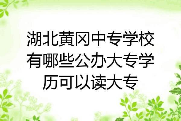 湖北黄冈中专学校有哪些公办大专学历可以读大专