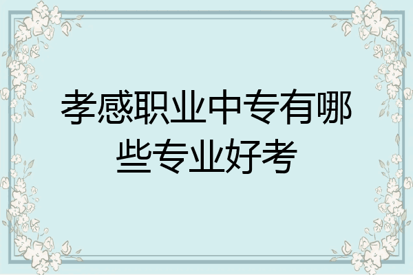 孝感职业中专有哪些专业好考
