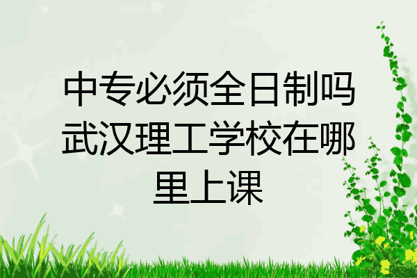 中专必须全日制吗武汉理工学校在哪里上课