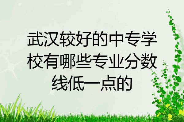 武汉较好的中专学校有哪些专业分数线低一点的