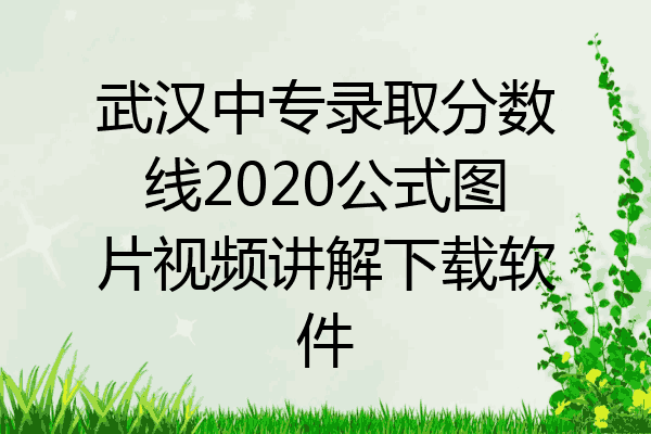 武汉中专录取分数线2020公式图片视频讲解下载软件