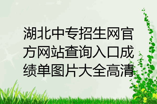 湖北中专招生网官方网站查询入口成绩单图片大全高清