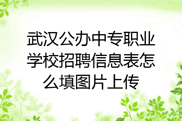 武汉公办中专职业学校招聘信息表怎么填图片上传
