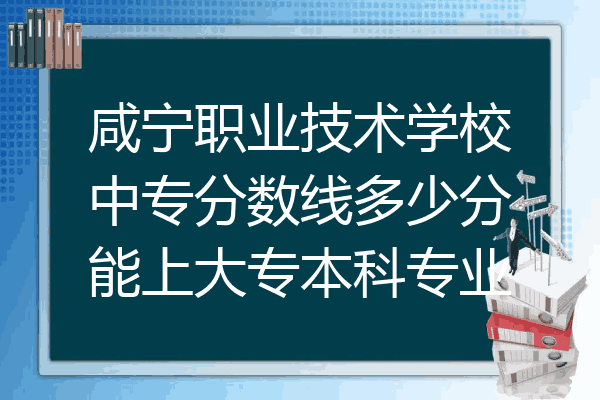 咸宁职业技术学校中专分数线多少分能上大专本科专业