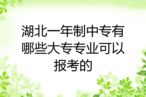 湖北一年制中专有哪些大专专业可以报考的