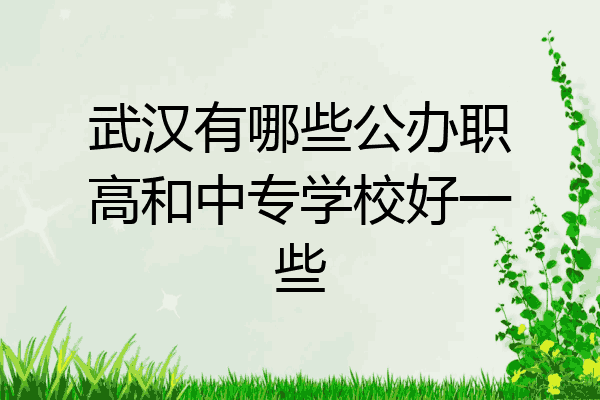 武汉有哪些公办职高和中专学校好一些