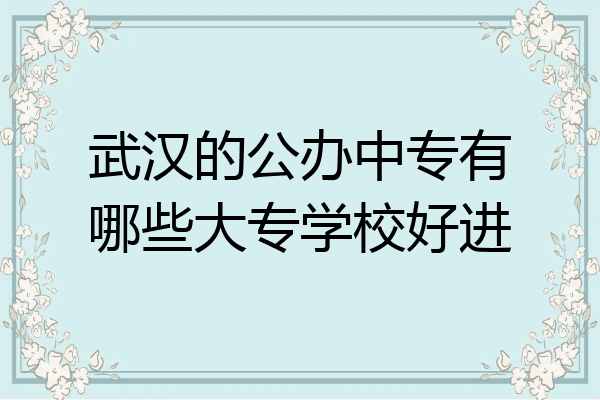 武汉的公办中专有哪些大专学校好进