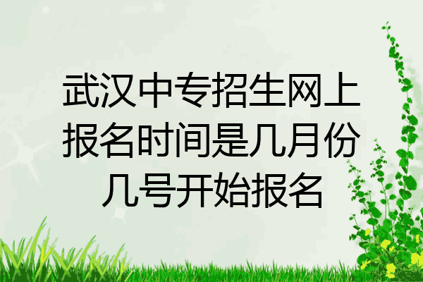 武汉中专招生网上报名时间是几月份几号开始报名