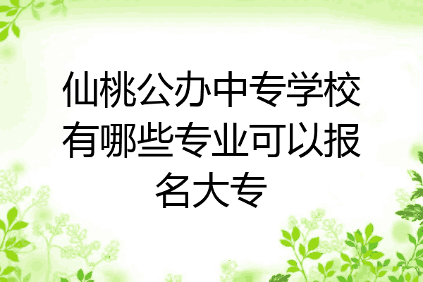 仙桃公办中专学校有哪些专业可以报名大专