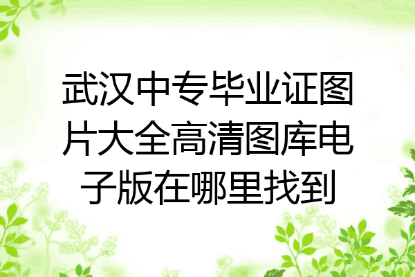 武汉中专毕业证图片大全高清图库电子版在哪里找到