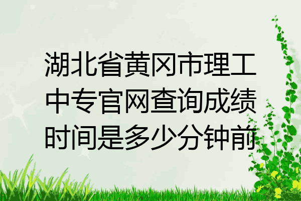 湖北省黄冈市理工中专官网查询成绩时间是多少分钟前
