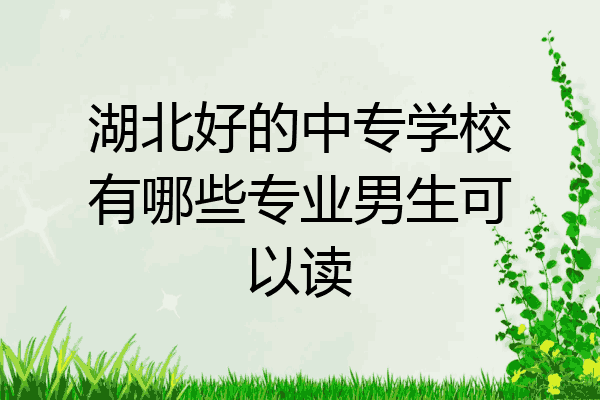 湖北好的中专学校有哪些专业男生可以读