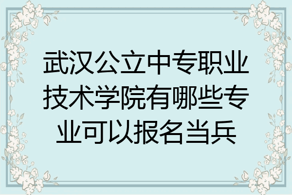 武汉公立中专职业技术学院有哪些专业可以报名当兵