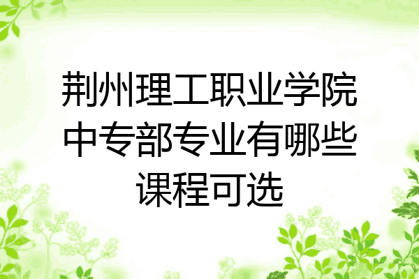 荆州理工职业学院中专部专业有哪些课程可选