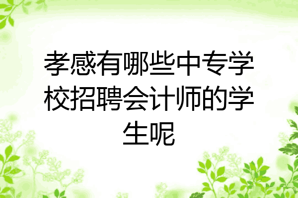 孝感有哪些中专学校招聘会计师的学生呢
