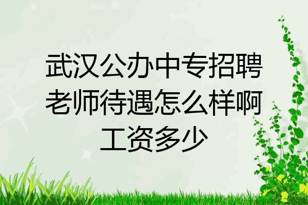 武汉公办中专招聘老师待遇怎么样啊工资多少