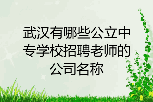 武汉有哪些公立中专学校招聘老师的公司名称