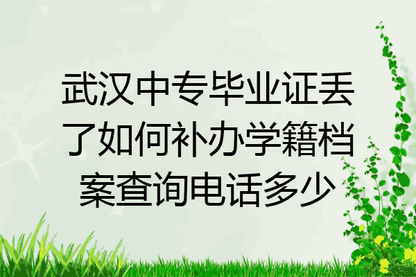 武汉中专毕业证丢了如何补办学籍档案查询电话多少