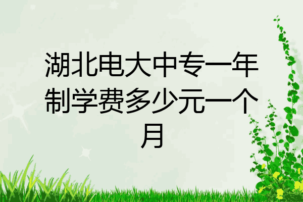 湖北电大中专一年制学费多少元一个月