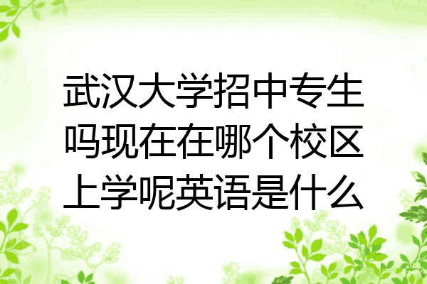 武汉大学招中专生吗现在在哪个校区上学呢英语是什么