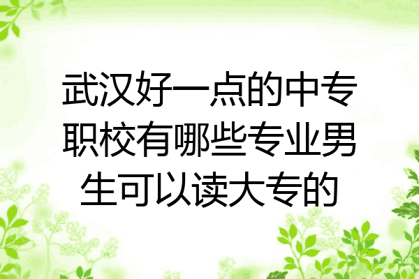 武汉好一点的中专职校有哪些专业男生可以读大专的