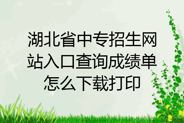 湖北省中专招生网站入口查询成绩单怎么下载打印