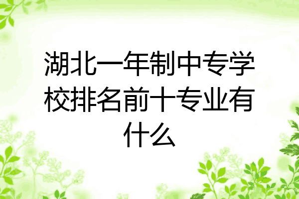 湖北一年制中专学校排名前十专业有什么