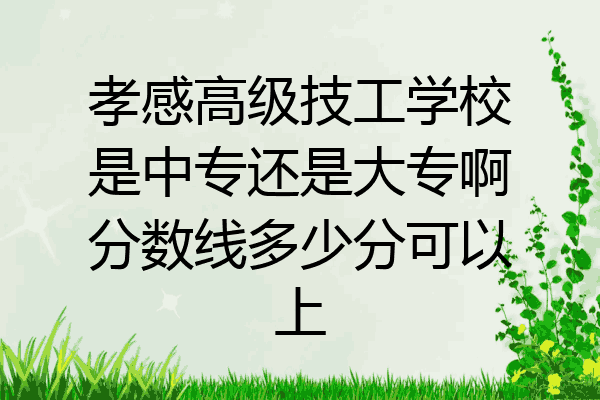 孝感高级技工学校是中专还是大专啊分数线多少分可以上