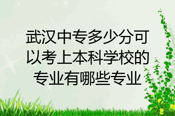 武汉中专多少分可以考上本科学校的专业有哪些专业
